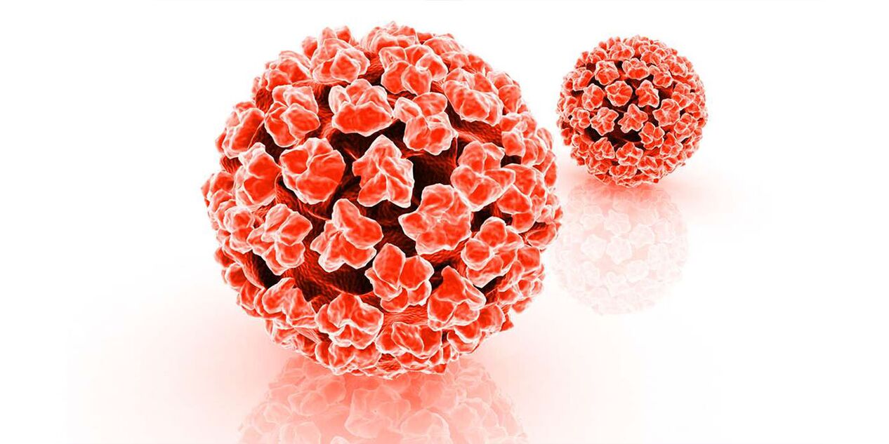 The harm of human papillomavirus