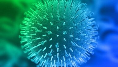 Human papillomavirus infection pathways