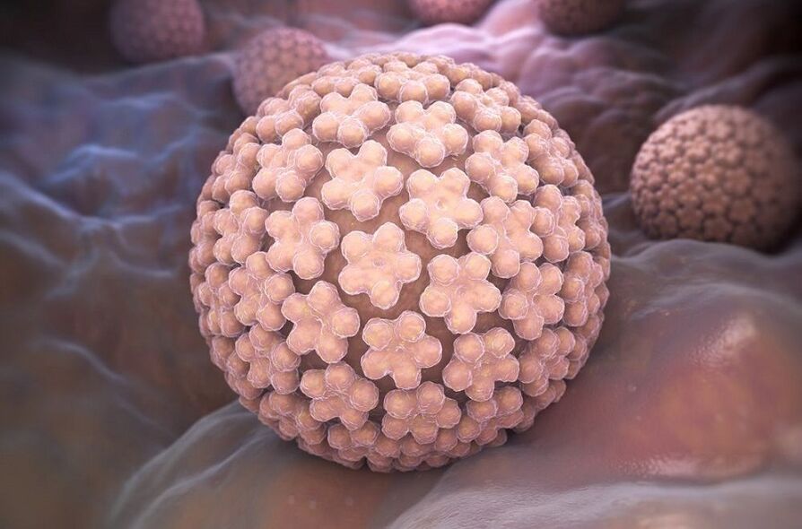 Human papillomavirus causes warts